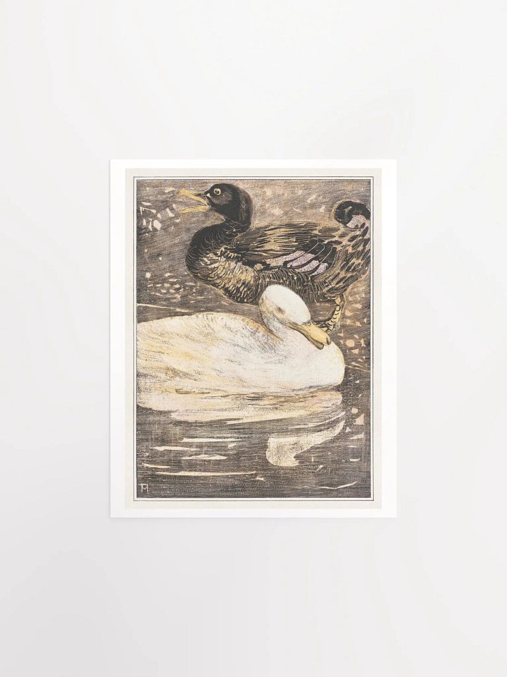 Two Ducks -Twee eenden product image (3)