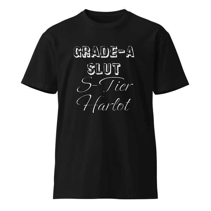Grade-A S-Tier Premium Tee product image (1)