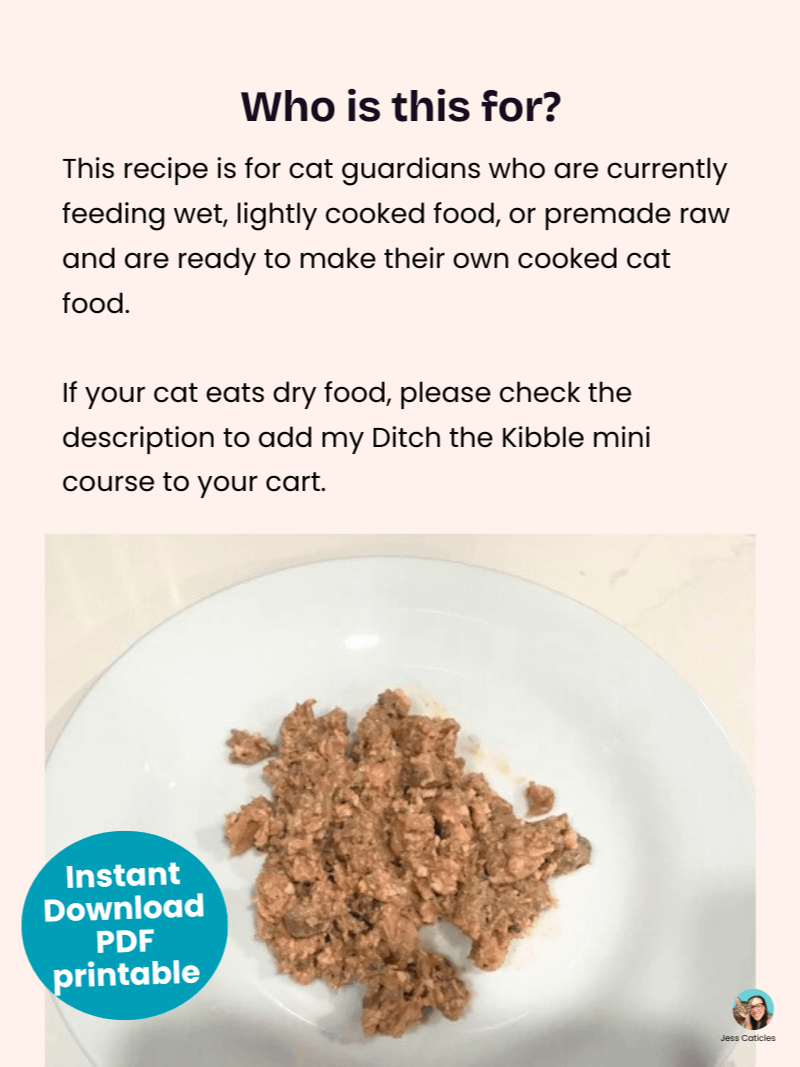 Cooked beef cat food recipe ~ 1 recipe for adult cats product image (8)