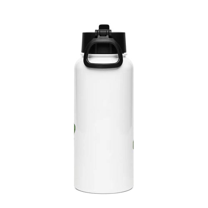 Stainless Steel Water bottle With Straw - Bin product image (2)