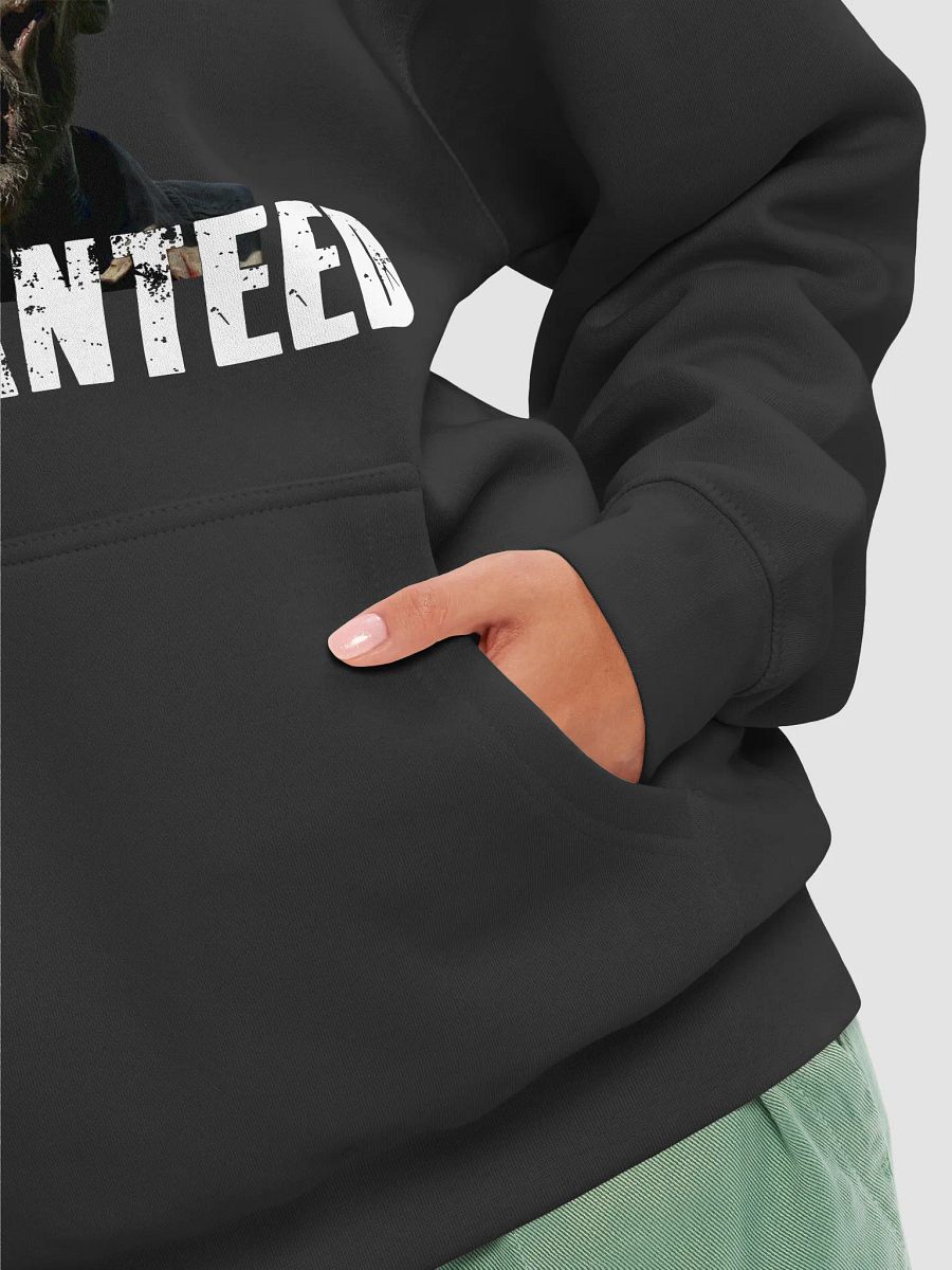 BRAIN DAMAGE GUARANTEED Premium Hoodie product image (8)