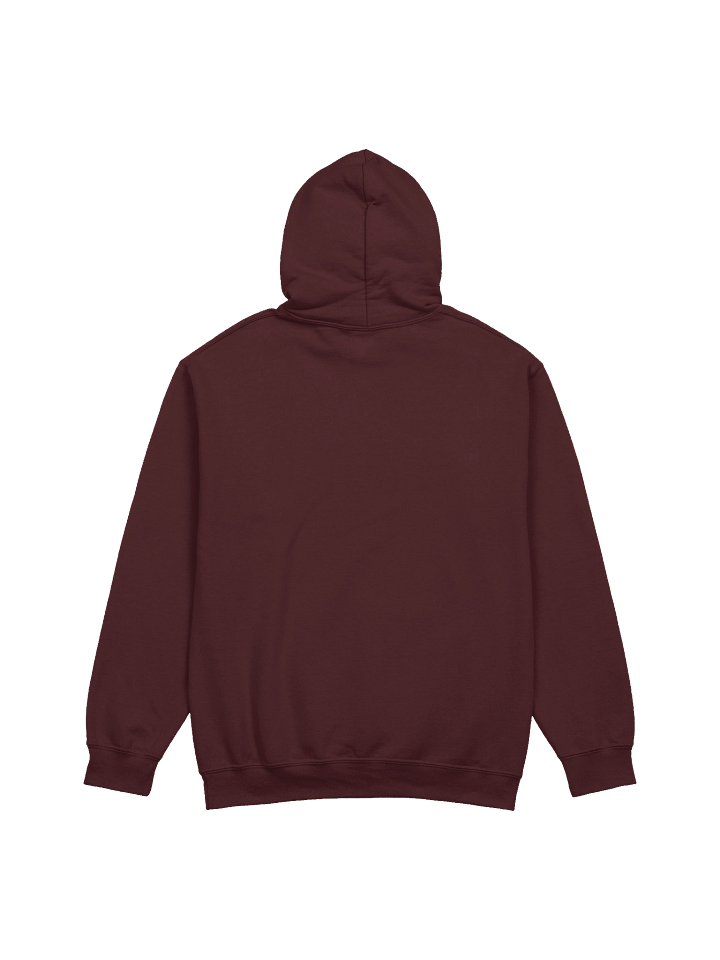 Woke Left Hoodie product image (7)