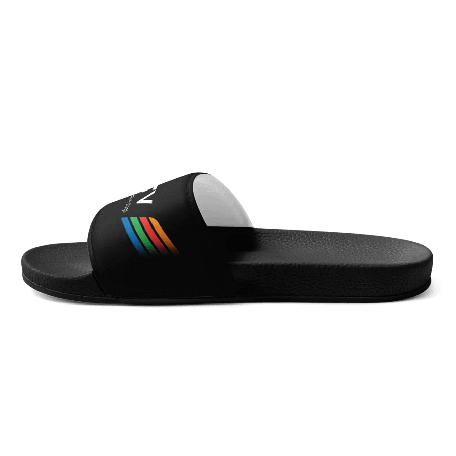 STV Slides product image (9)