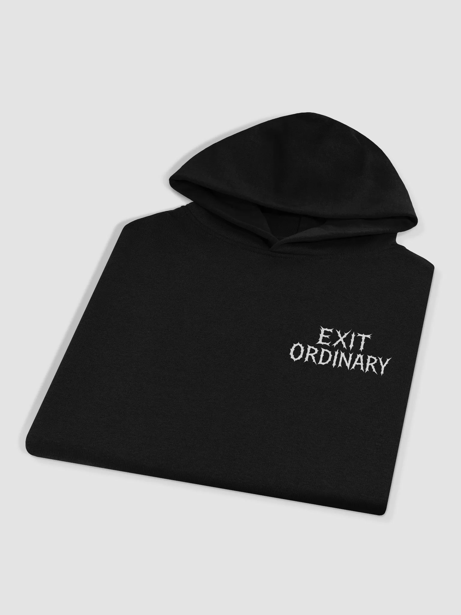 Exit Ordinary Hoodie product image (4)