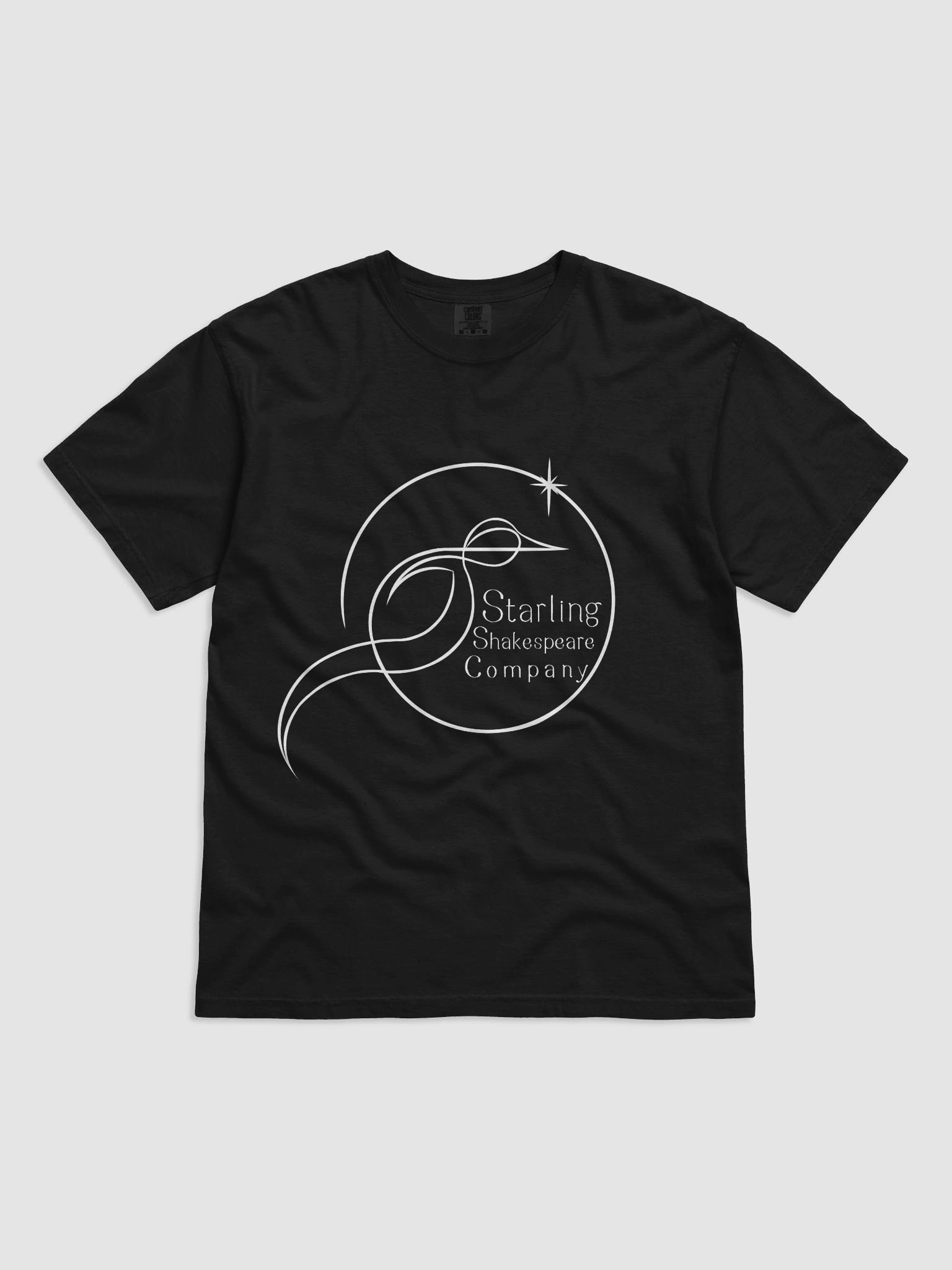 Logo T-Shirt product image (5)