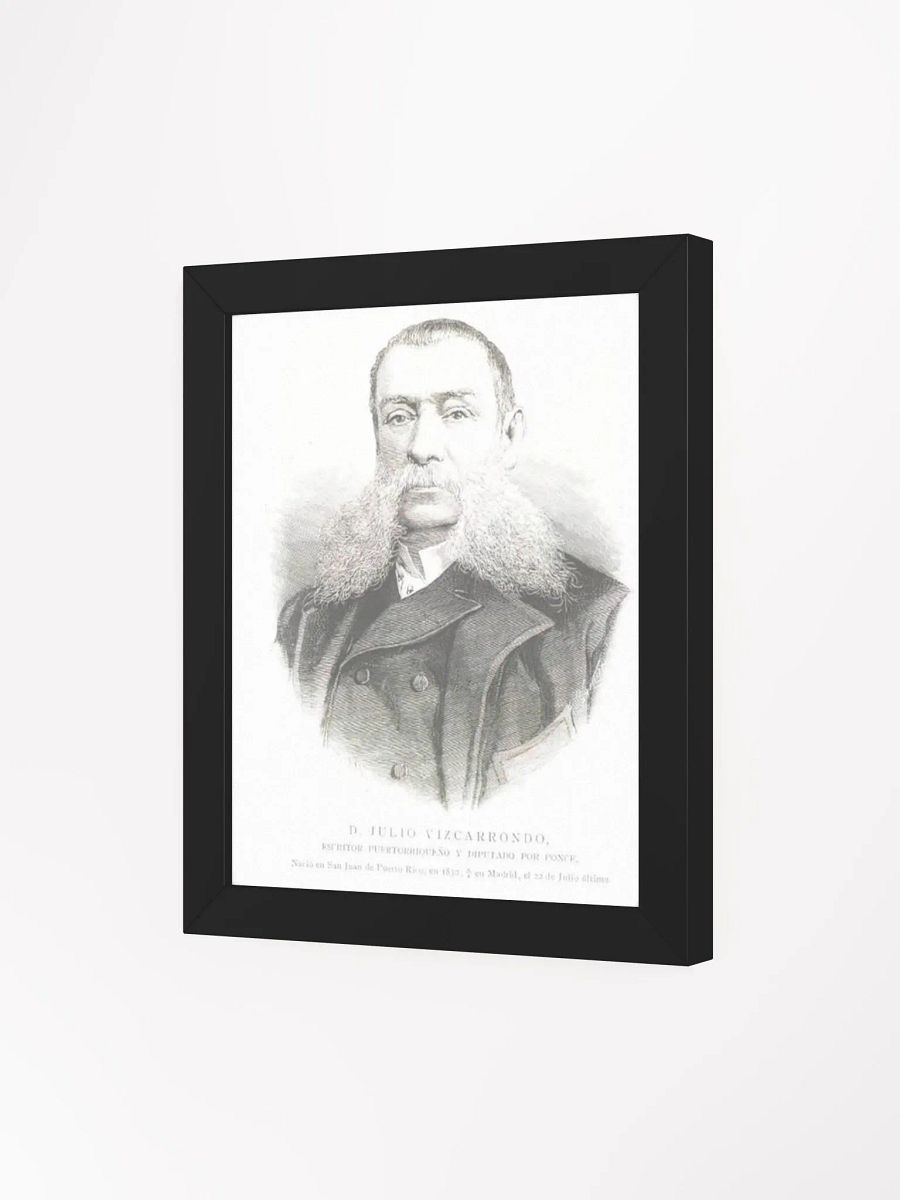 Cuadro - D. Julio C. Vizcarrondo y Coronado: Diputado Provincia de Puerto Rico product image (3)