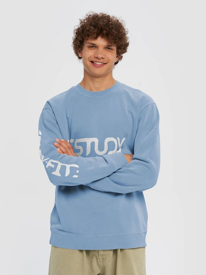 The Study Fit Pigment Dyed Sweatshirt product image (19)
