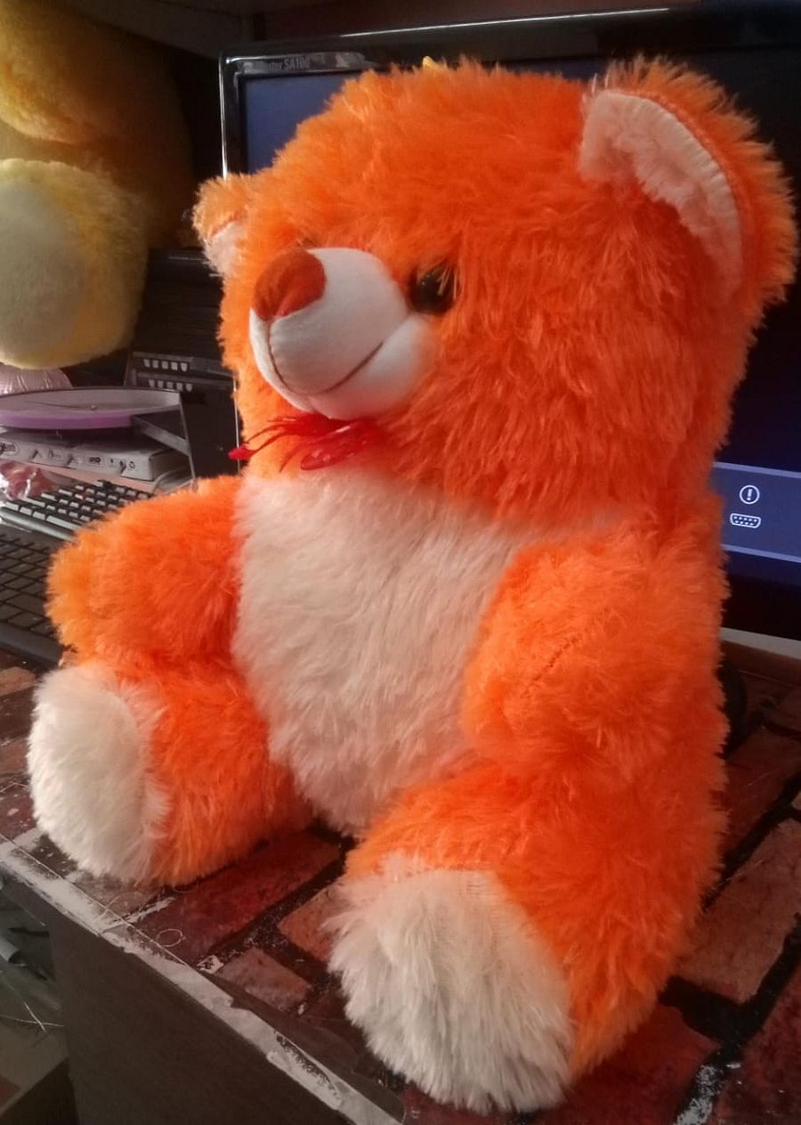 TEDDY BEAR product image (3)