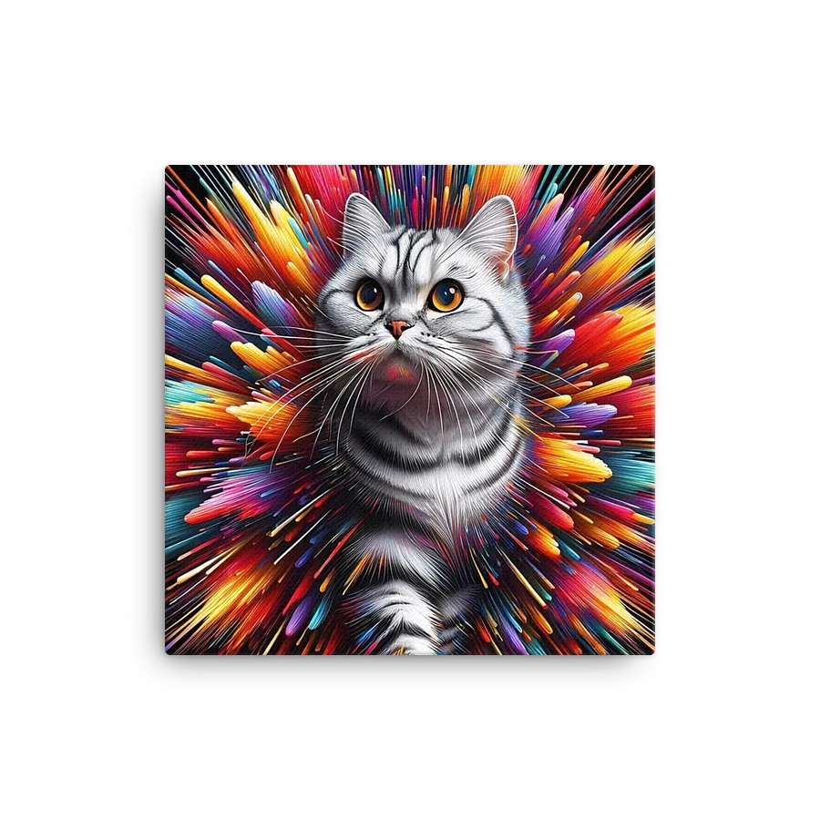 Canvas (in): American Shorthair product image (1)