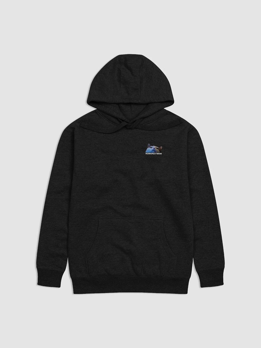 HOODIE - MONNOMESTBRIAN - UNISEX product image (1)