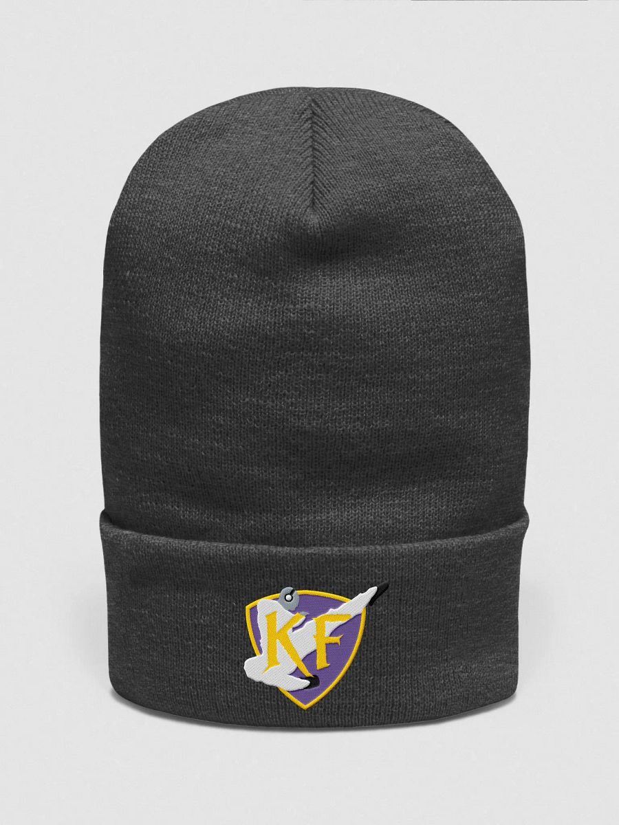 KFDI Shield Beanie product image (16)
