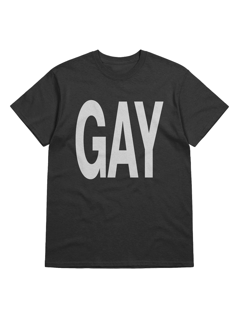 'GAY' T-Shirt