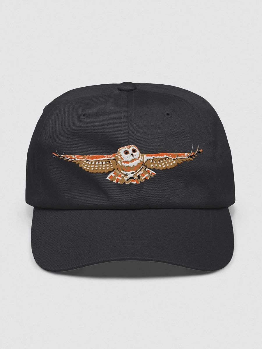 Fall Edition Hat product image (3)