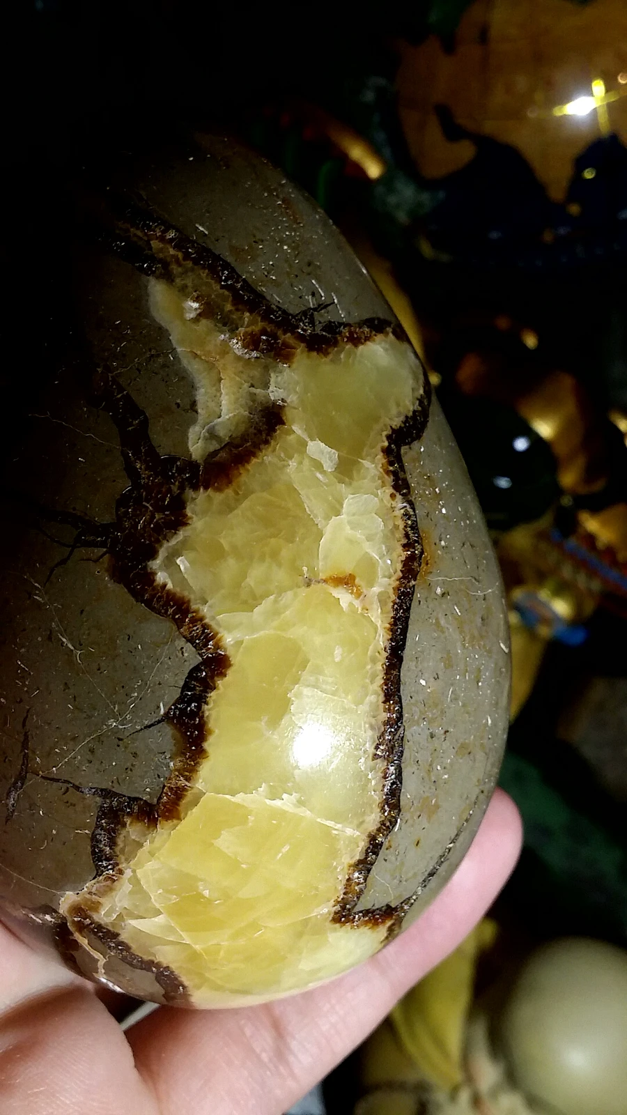 473.4g Septarian Egg product image (4)