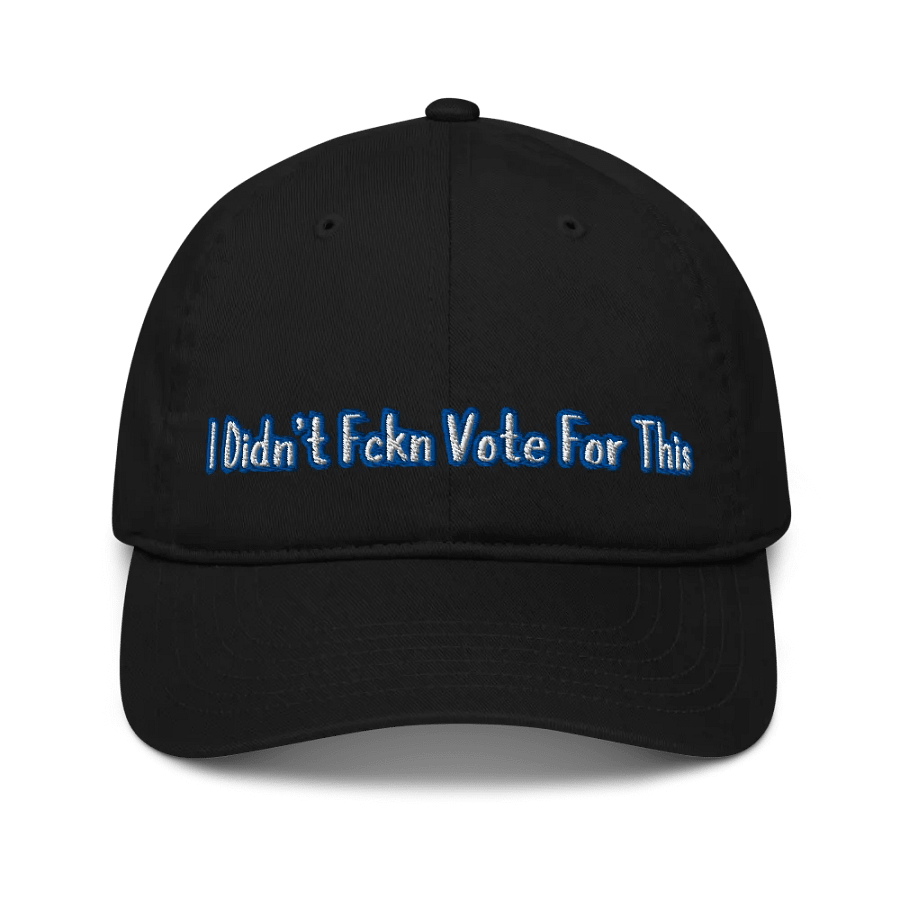 Resistor, I Didn't Fckn Vote for This (words only), NSFW Embroidered Hat product image (1)