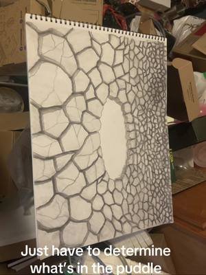 #art #arttok #pencilart #drawing #notmoist 