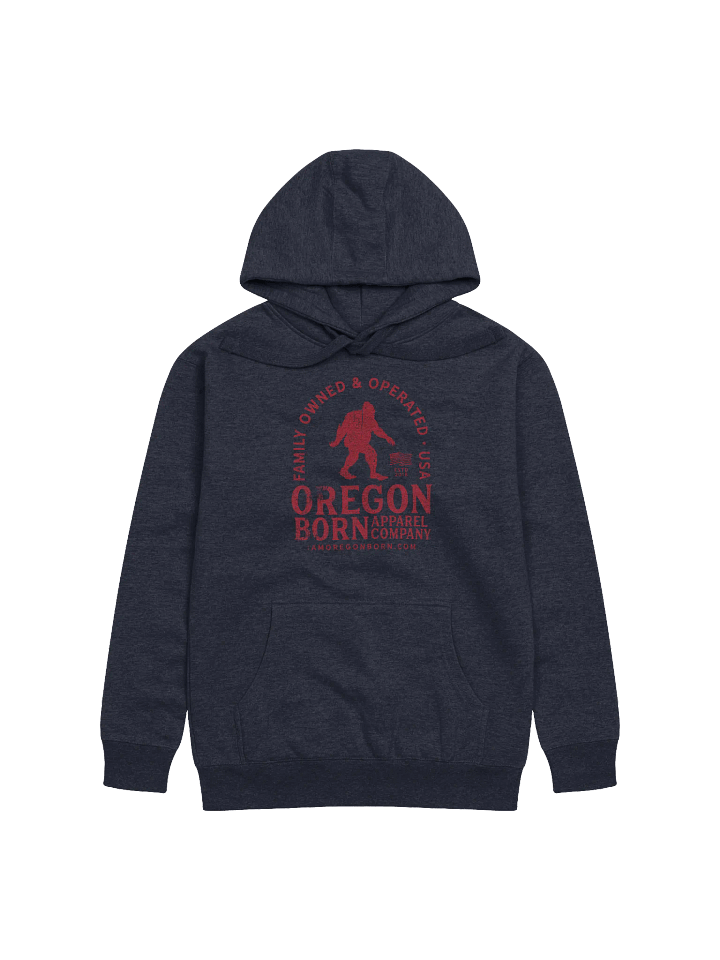 Family Owned USA Hoodie product image (1)