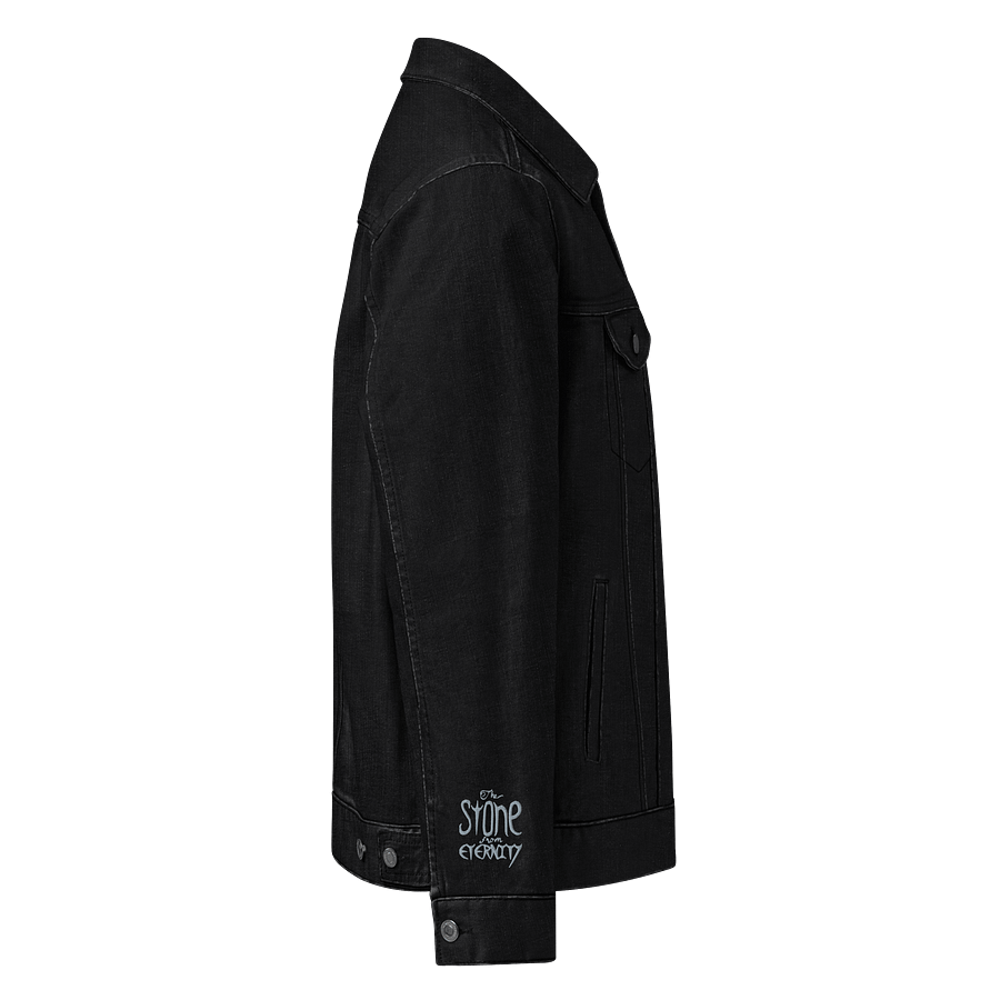 The Stone from Eternity Jacket product image (3)