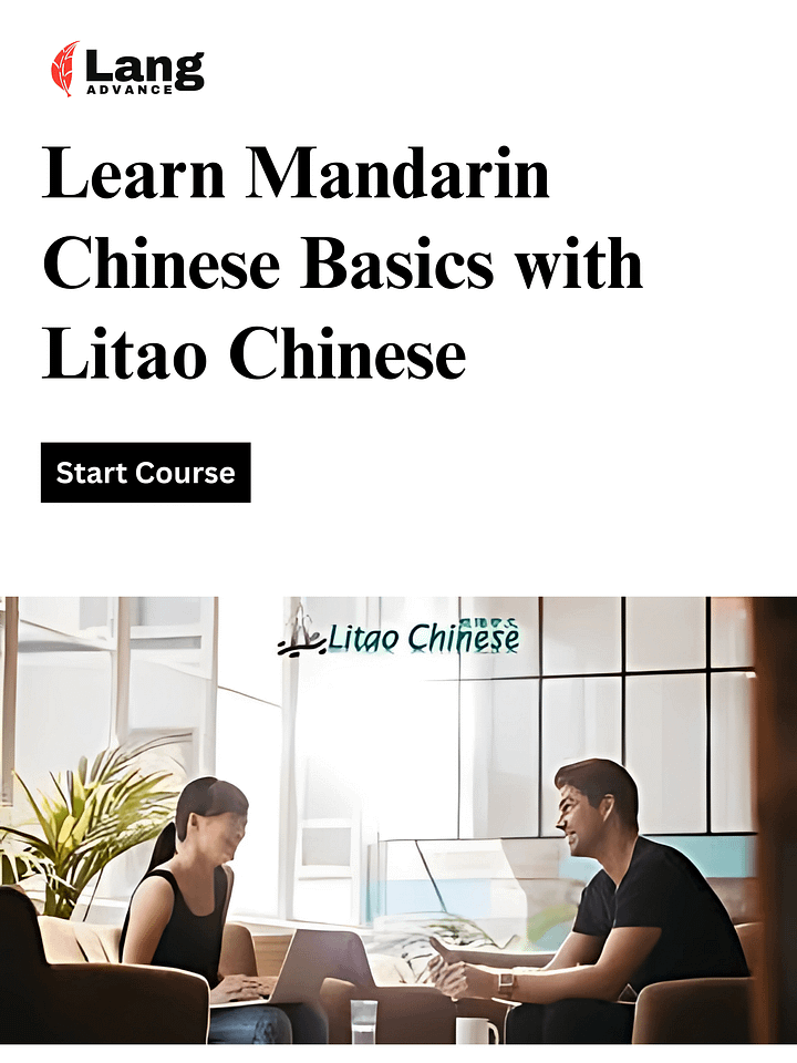 Learn Mandarin Chinese Basics with Litao Chinese product image (1)
