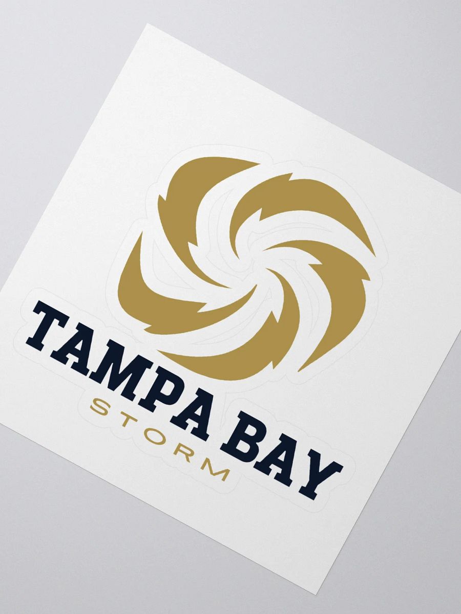 Tampa Bay Storm Stickers product image (3)