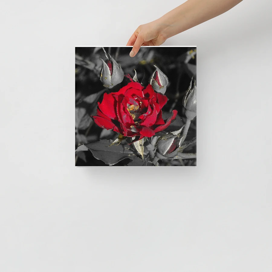 Rose on Canvas product image (14)