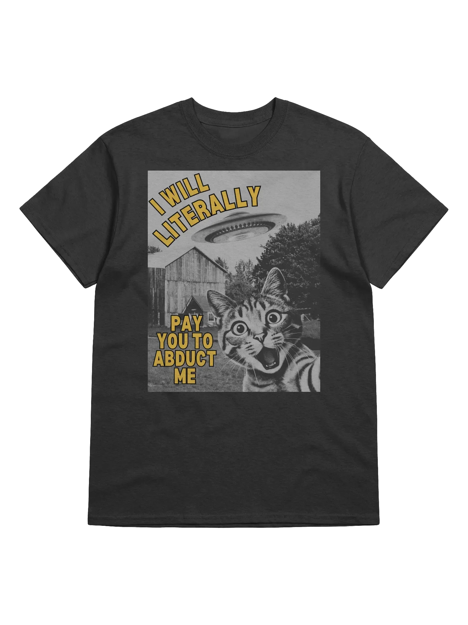 I Will Literally Pay You To Abduct Me T-Shirt product image (1)