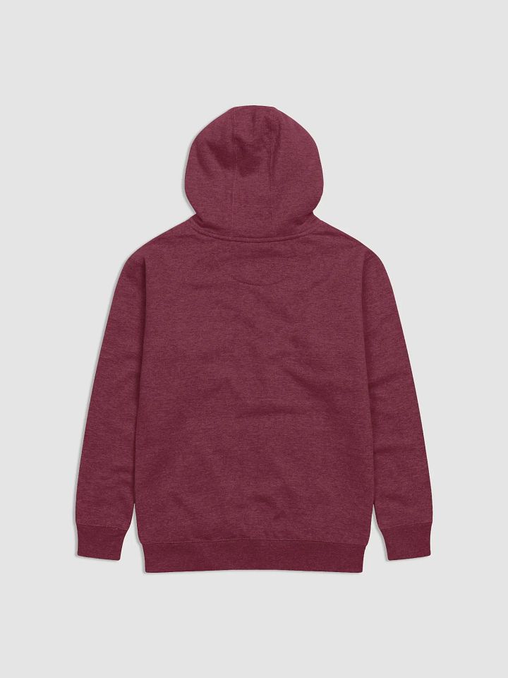 "HOLDING ON and LETTING GO" Premium Unisex Hoodie product image (2)