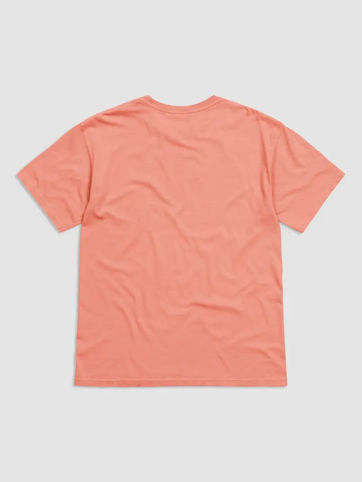 Aromantic Pride Kitty Man's Shirt product image (23)