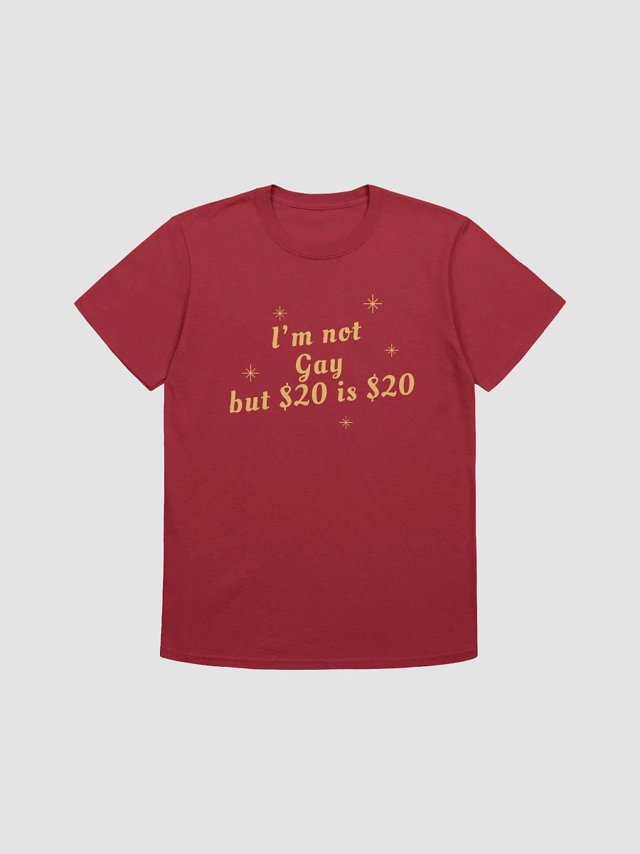 I'm Not Gay But $20 is $20 Unisex T-Shirt V14 product image (1)