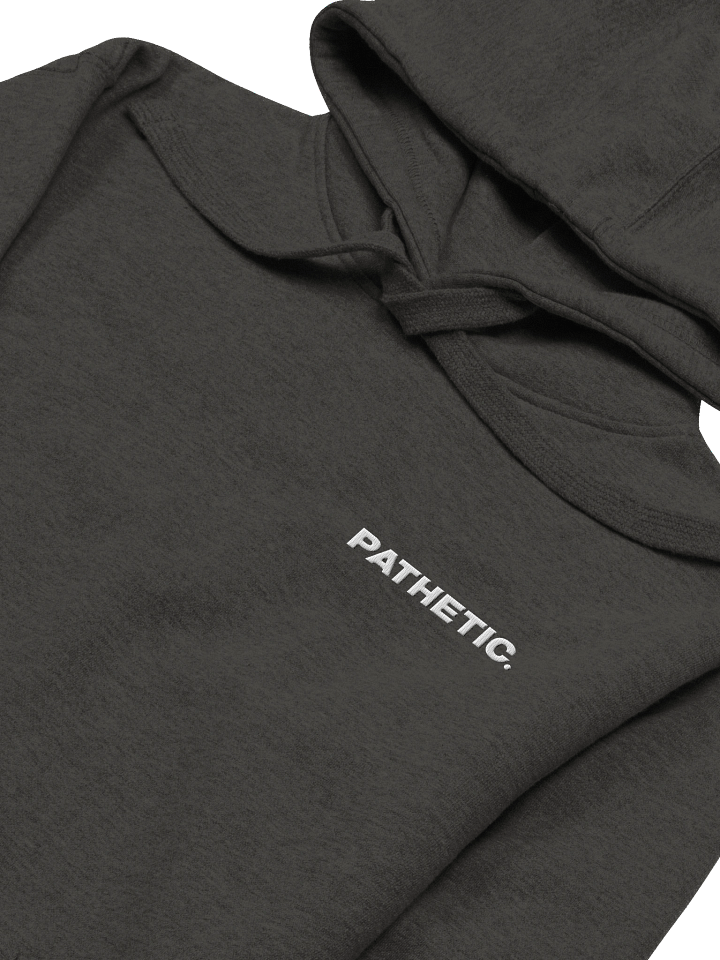 Pathetic Hoodie - Embroidered product image (13)