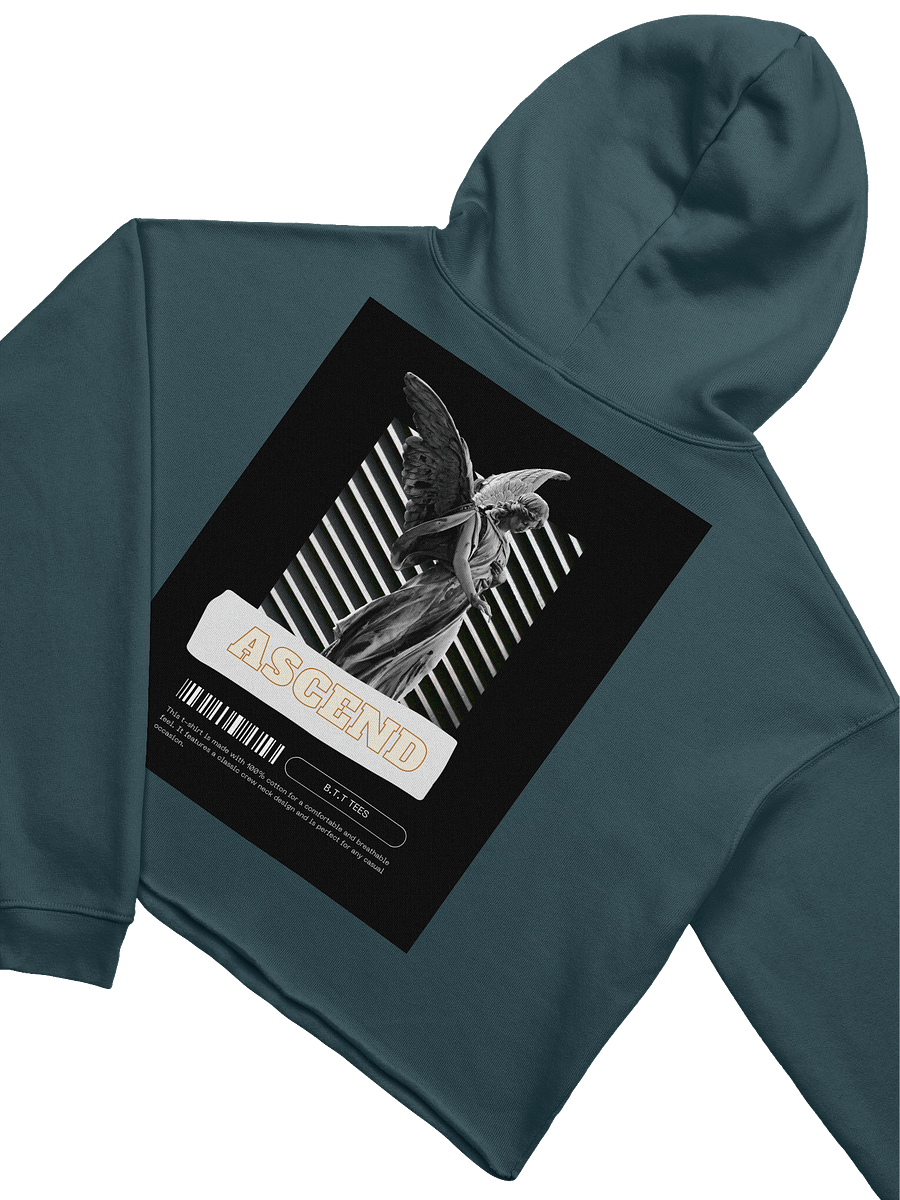 B.T.T. Tees Logo Crop Hoodie product image (25)