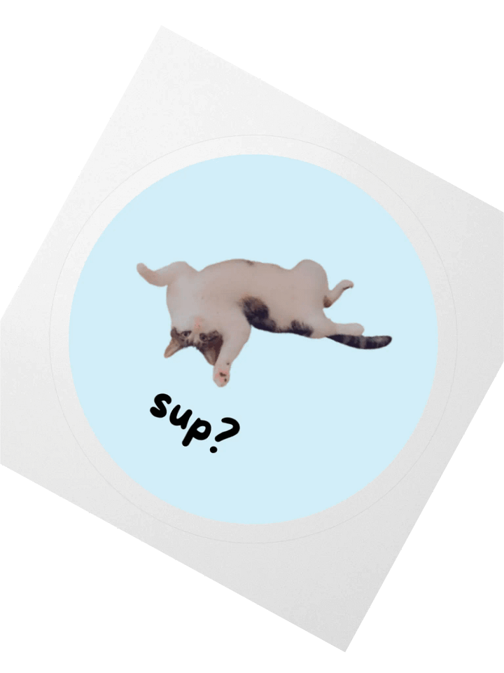 Ollie "Sup?" Sticker product image (2)