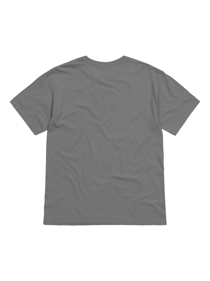 BigCorp Incorporated T-shirt product image (3)
