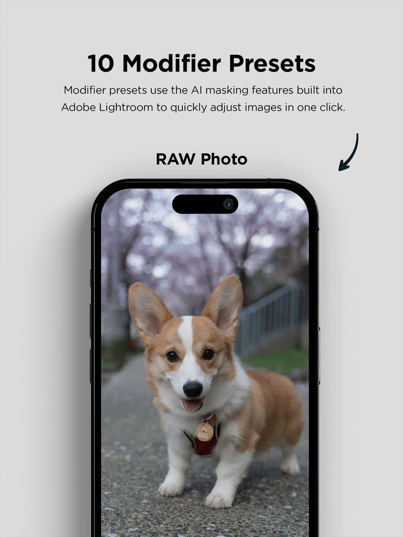 Pawtrait Presets product image (9)