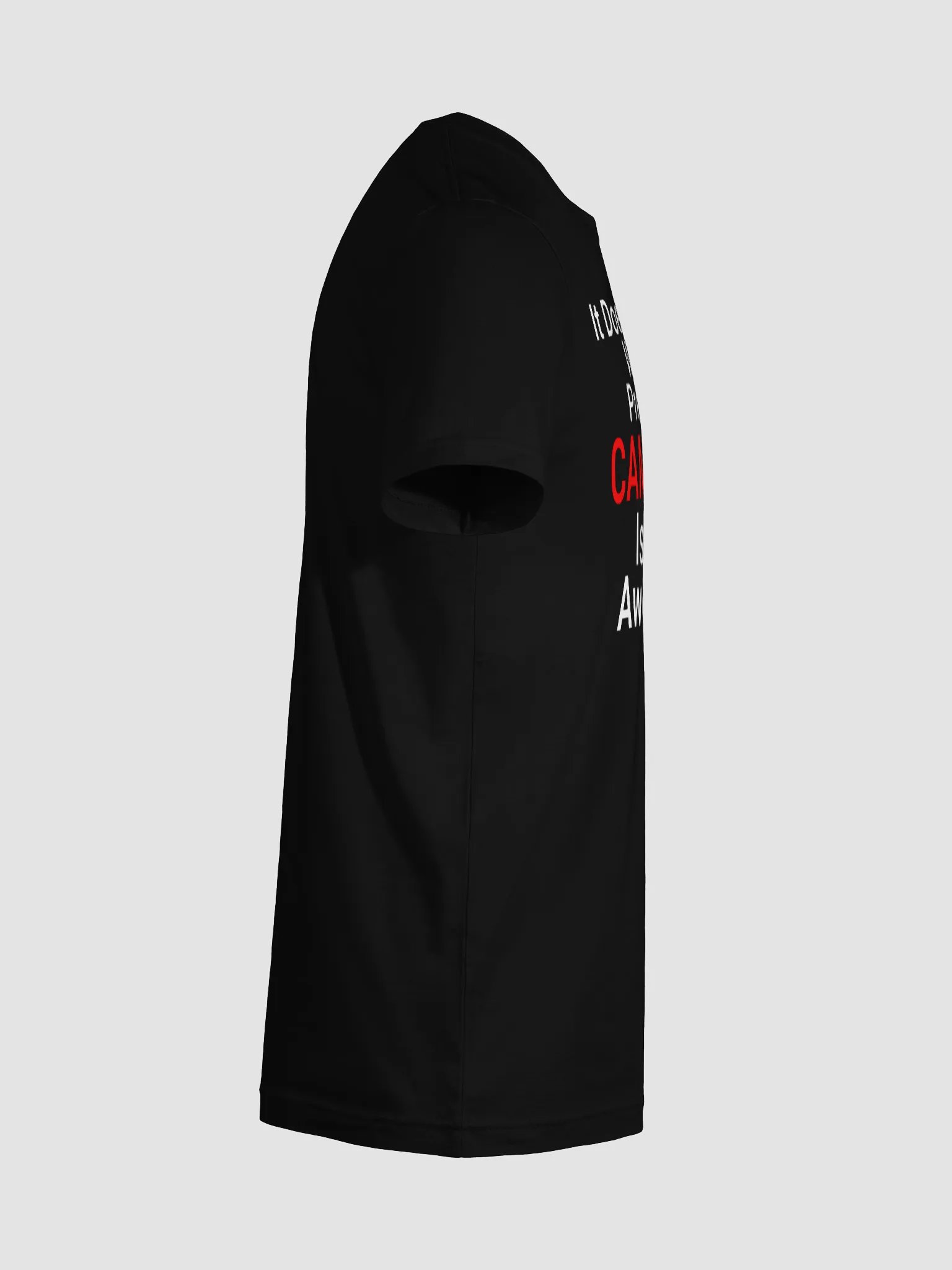 It Doesn't Matter Who Is President Camping Is Still Awesome product image (12)