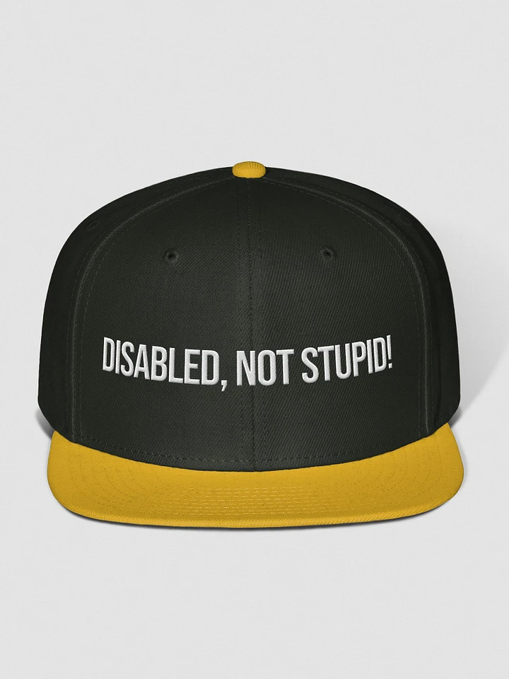 Disabled, Not Stupid! Cap product image (10)