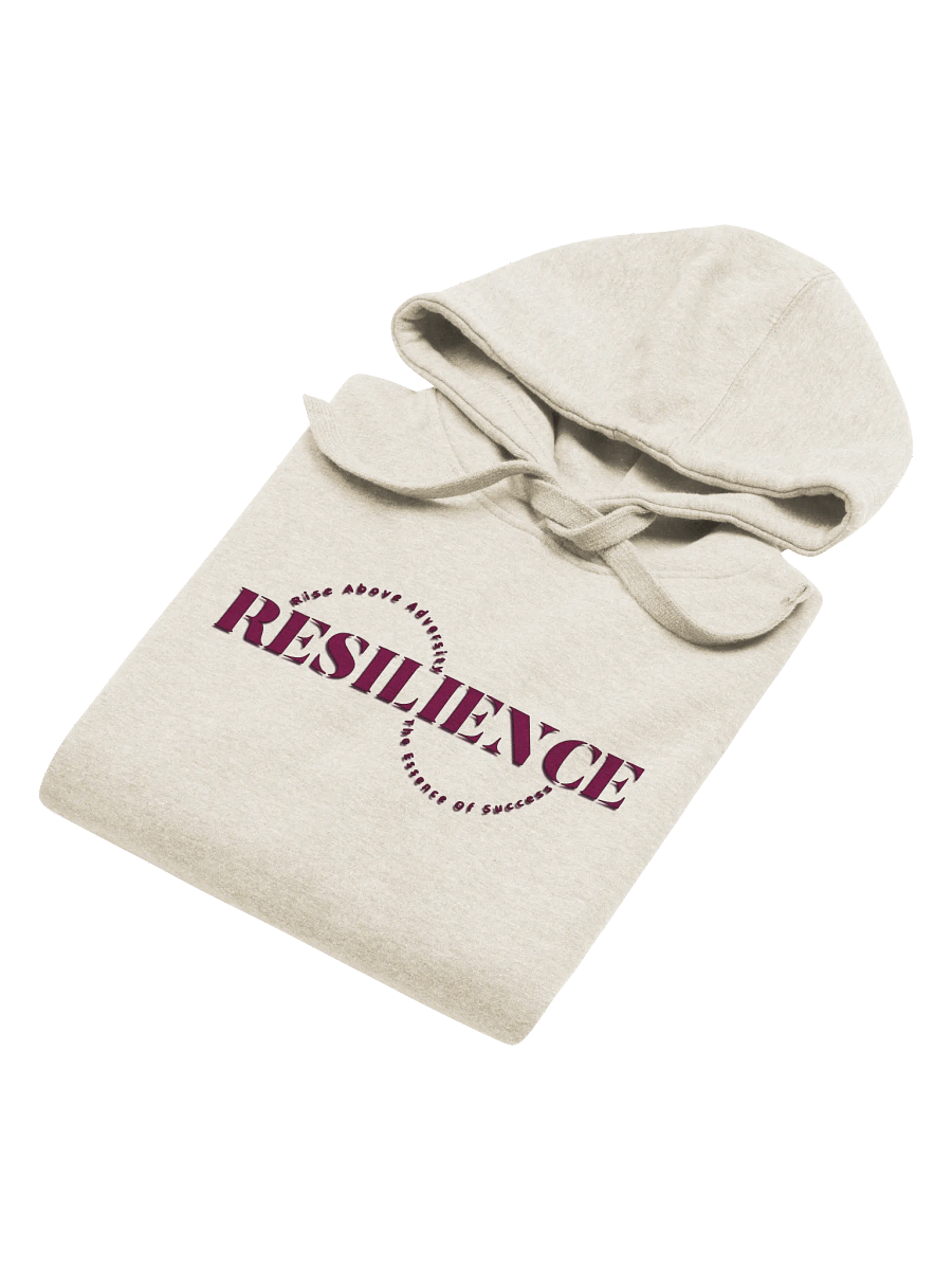 Resilience Circle Unisex Premium Hoodie product image (16)