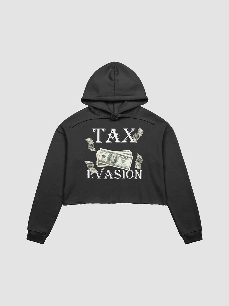 Tax Evasion Cropped Hoodie product image (3)