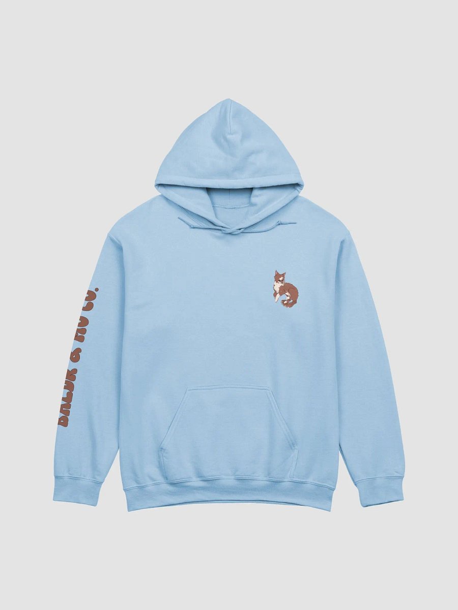 Baldr & Mo Co. Hoodie - Brown Letters product image (1)