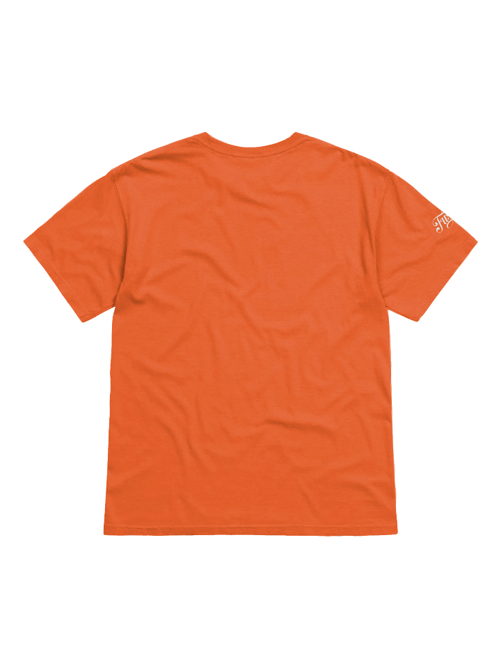 Stand for Freedom, Not for Trump. Protest T-Shirt product image (8)