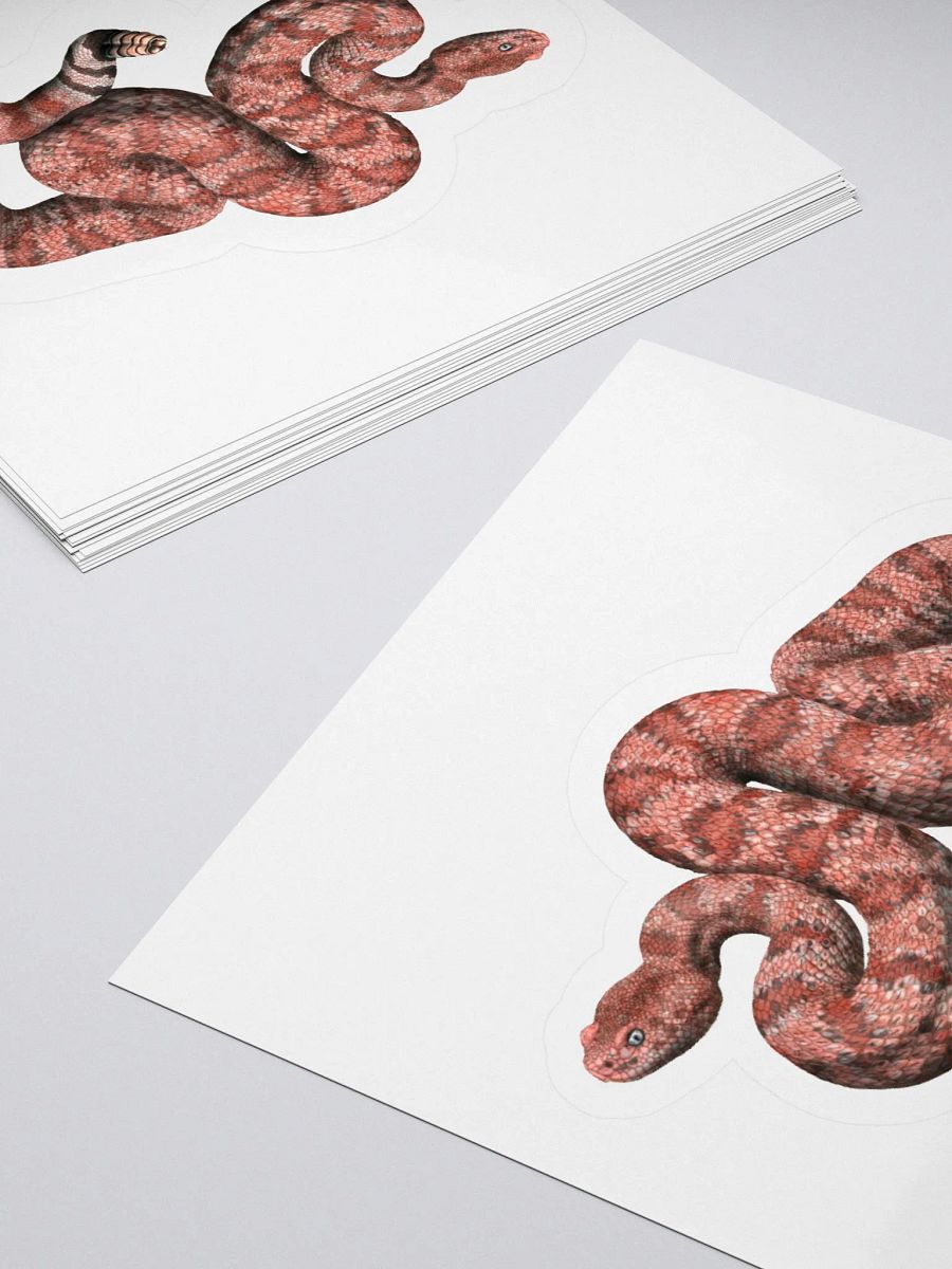Die-Cut Sticker – Speckled Rattlesnake (Red) product image (4)