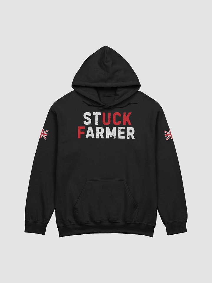 Hoodie product image (1)