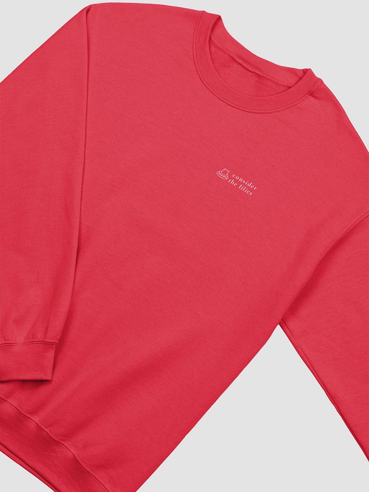 Find Some One Who Needs Lifting Up Red Sweatshirt product image (2)