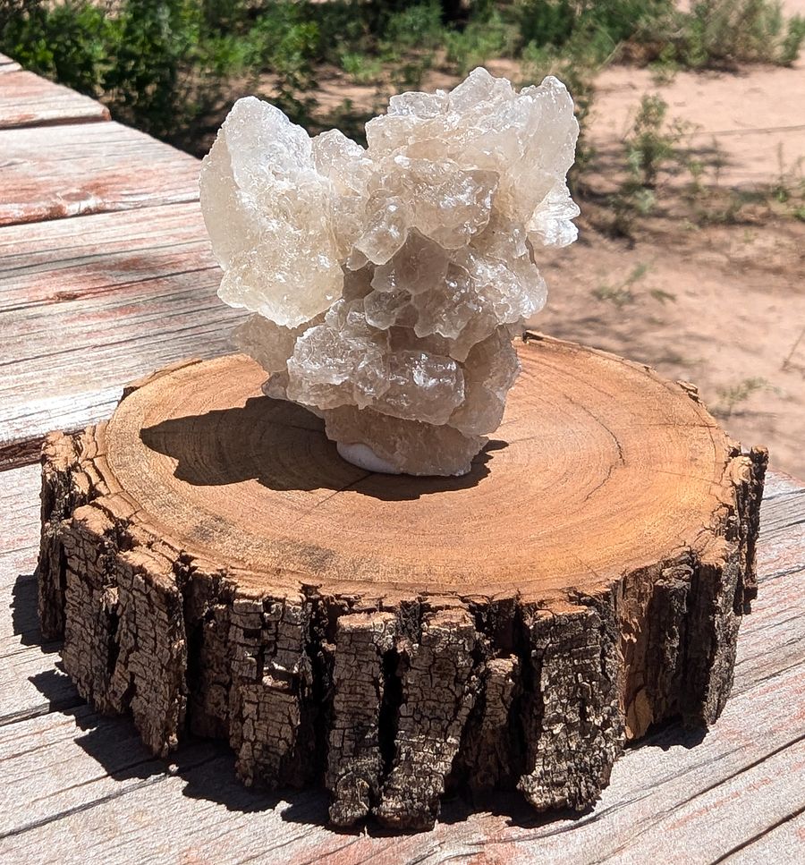 Selenite Crystal Cluster on Mesquite Wood Base product image (1)