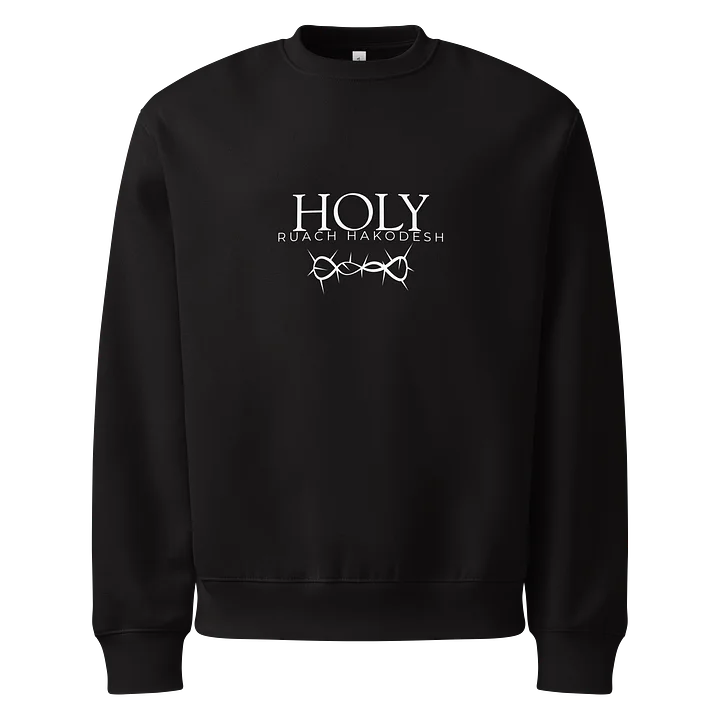 Divine Oversized Sweatshirt product image (1)