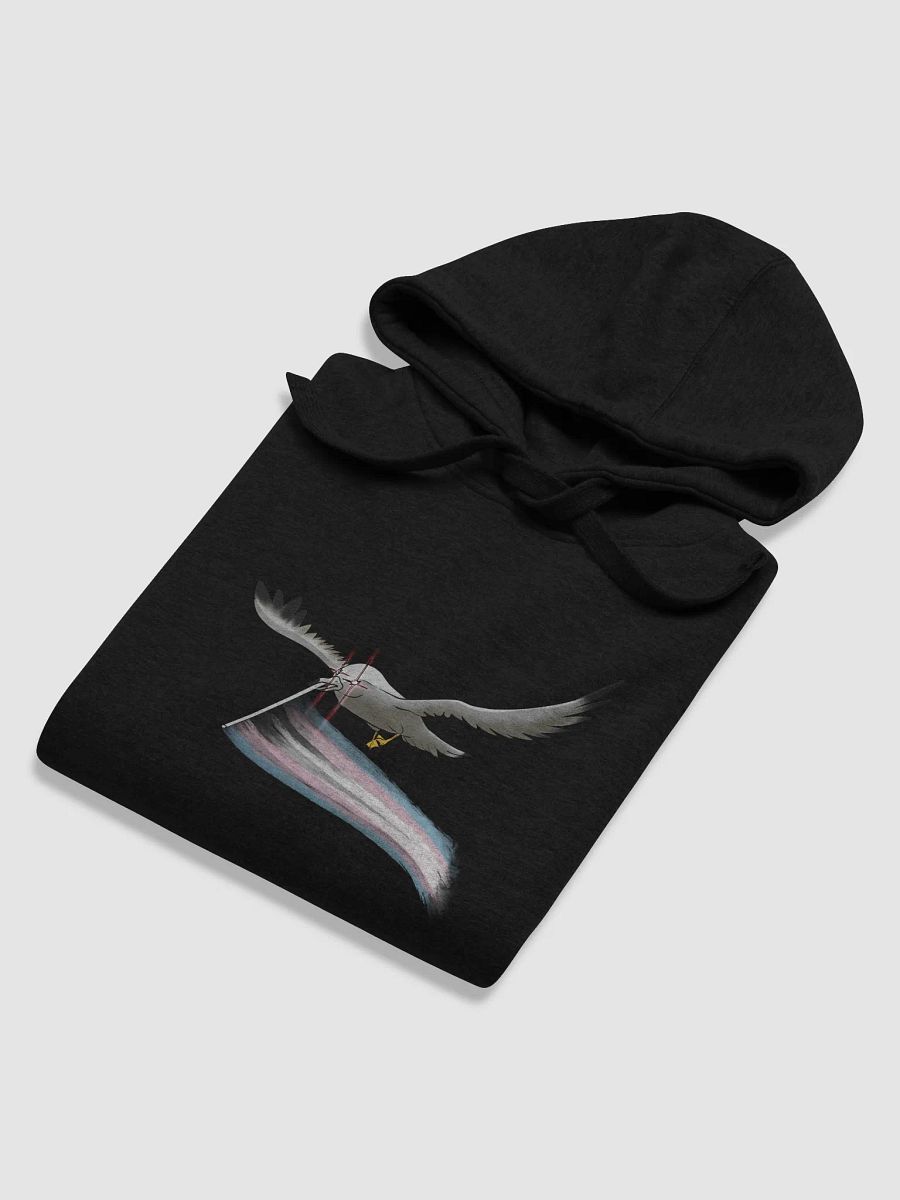 Valentina says trans rights product image (73)