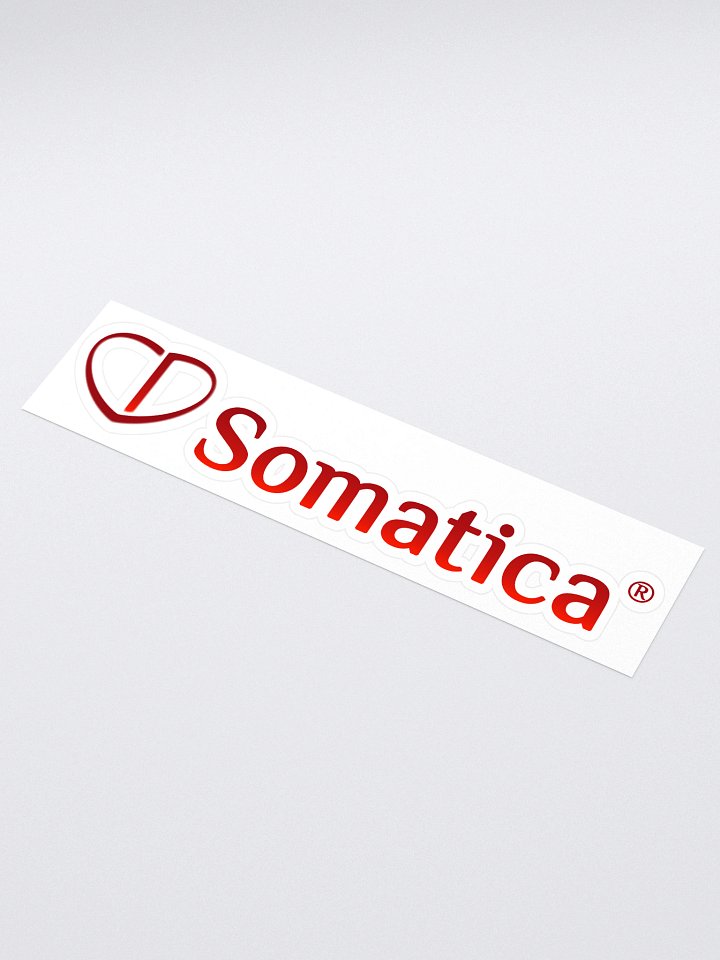 Somatica Sticker product image (1)