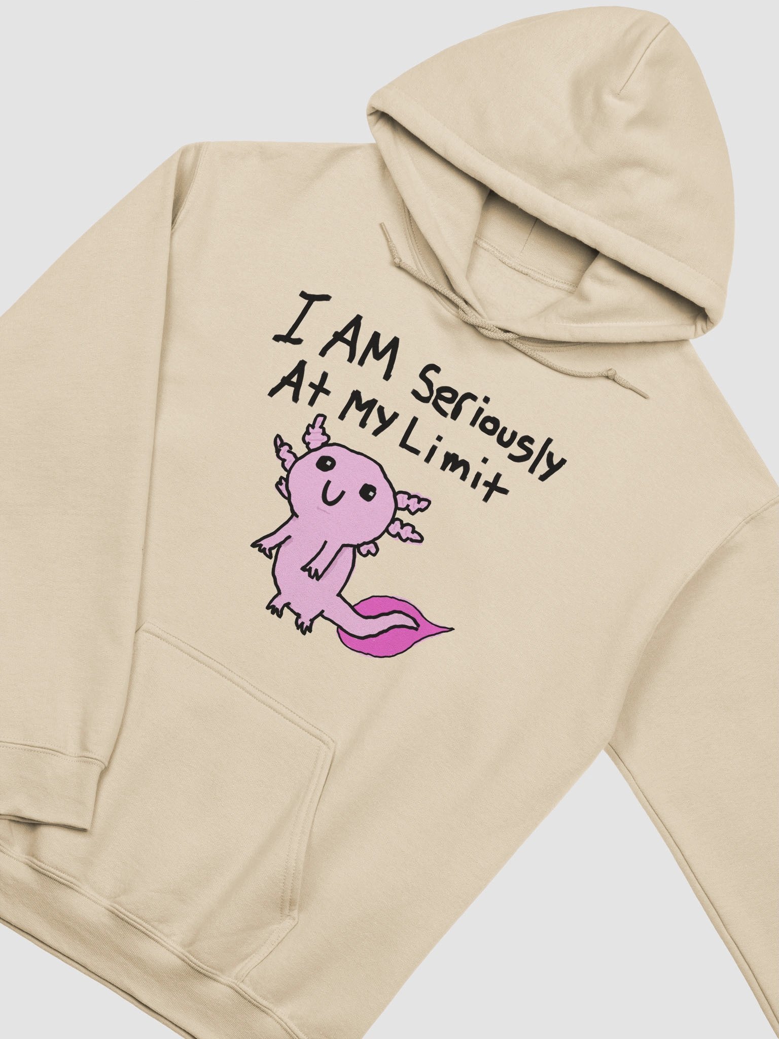 I am seriously at my limit Hoodie product image (21)
