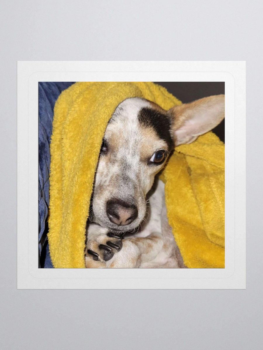Bronx in Repose product image (2)