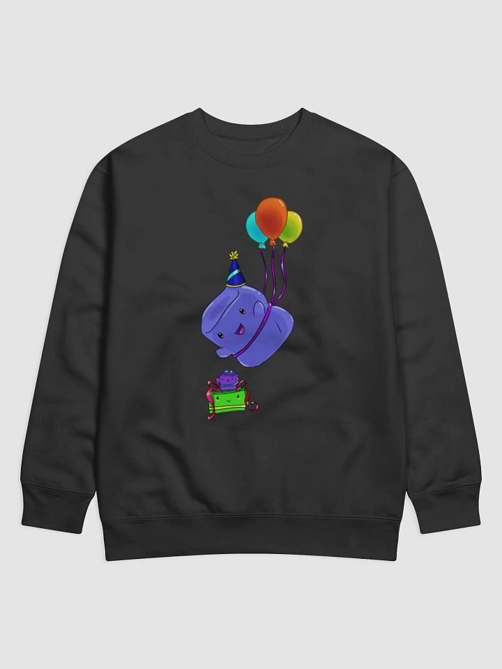 Bigsquish Birthday Jumper 2024 product image (1)